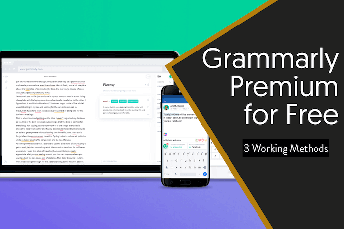 access code grammarly 2019